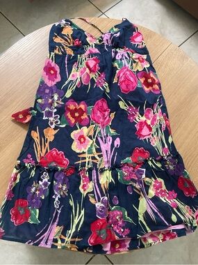 American Eagle Outfitters Navy Floral Slip Dress with Pink Lining